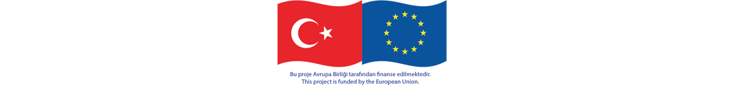 Customs Union for SMEs Project Logo
